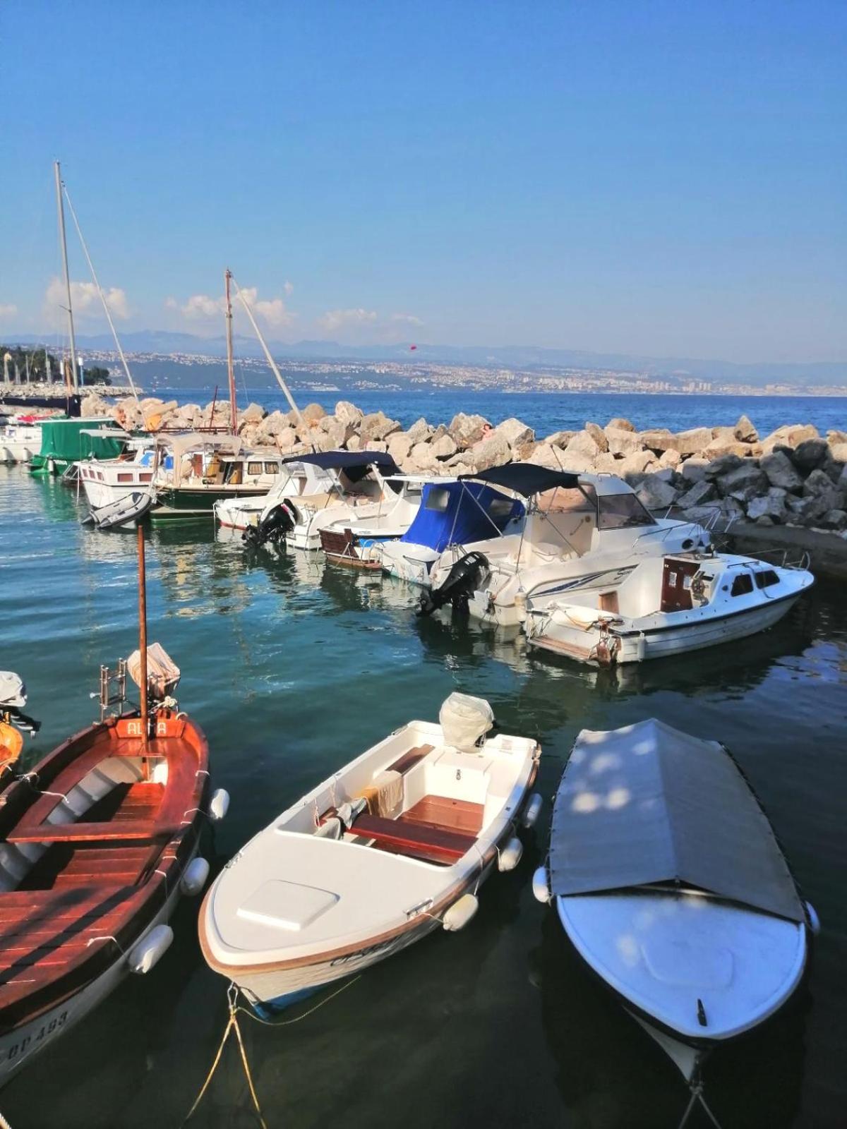 Cozy Apartment Bosnjak Near Opatija, With Sea View Terrace, Air Condition, Free Private Parking Icici Exterior photo